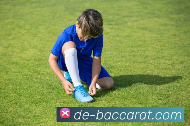 百家乐官网平台生态图