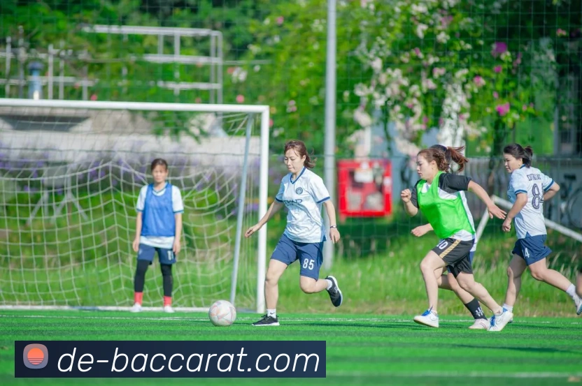 百家乐官网APP 封面图